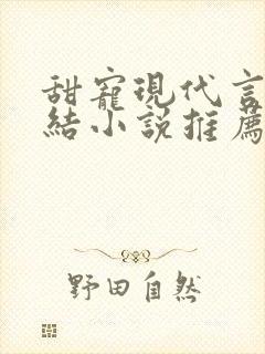 甜宠现代言情完结小说推荐