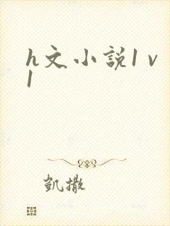 h文小说1 v1