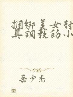 捆绑美女封嘴道具调教的小说封面