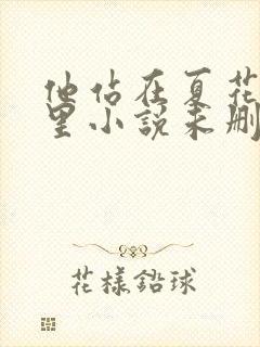 他站在夏花绚烂里小说未删减完整版