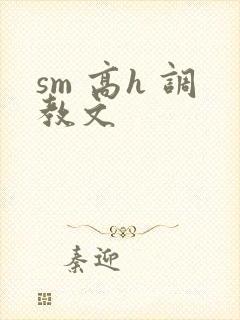 sm 高h 调教文