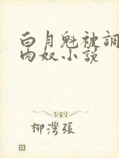 白月魁被调教成肉奴小说