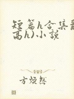 短篇h合集乱(高h)小说封面