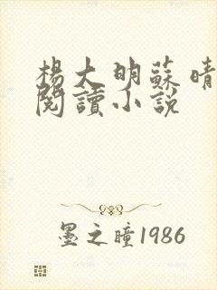 杨大明苏晴免费阅读小说