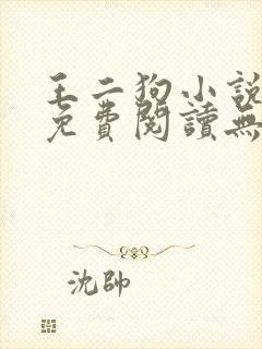 王二狗小说全文免费阅读无弹窗