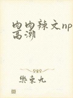 肉肉辣文np文高潮
