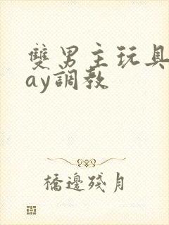 双男主玩具play调教