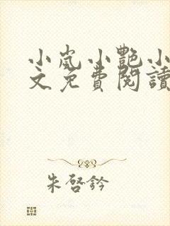 小岚小艳小说全文免费阅读最新章节封面