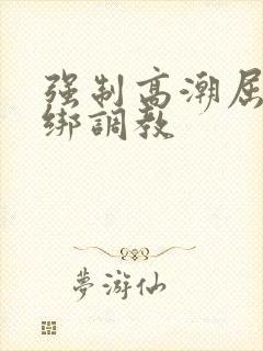 强制高潮屈辱捆绑调教