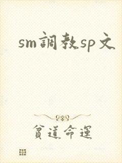 sm调教sp文