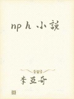 np h 小说
