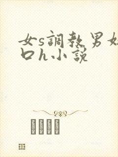 女s调教男奴重口h小说封面