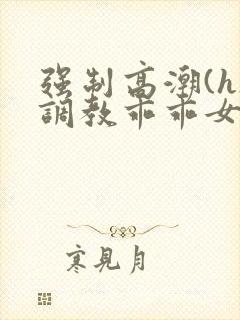 强制高潮(h)调教乖乖女小说