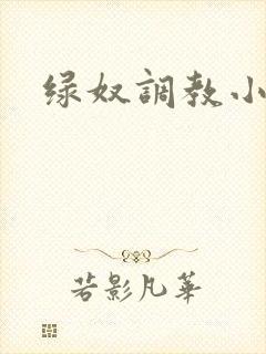 绿奴调教小说