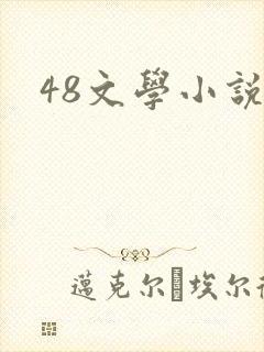 48文学小说网封面