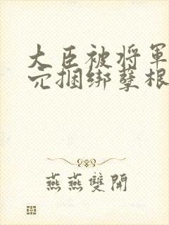 大臣被将军插后穴捆绑孽根腐文