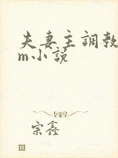 夫妻主调教 sm小说