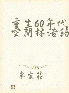 重生60年代带空间林浩的小说