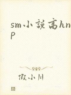 sm小说高hnp