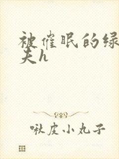 被催眠的绿帽夫夫h