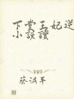 下堂王妃逆袭记小说读封面