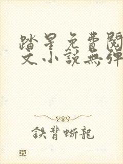 踏星免费阅读全文小说无弹窗