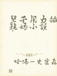 儿子用力插你的亲妈小说