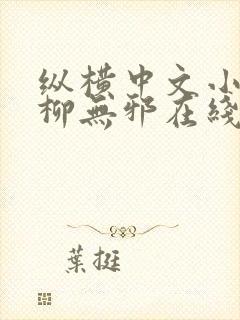 纵横中文小说网柳无邪在线阅读