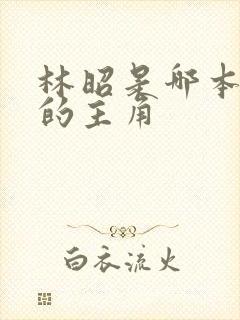 林昭是哪本小说的主角