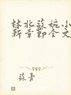 林北苏婉小说最新章节全文