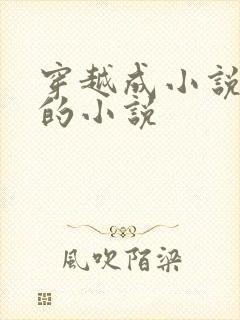 穿越成小说女配的小说