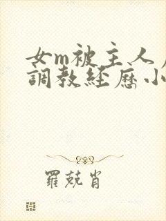 女m被主人虐玩调教经历小说