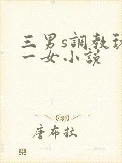 三男s调教玩弄一女小说封面