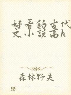 好看的古代调教文小说高h封面