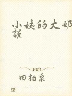 小姨的大奶子小说