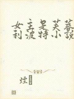 女主是芙蓉的哈利波特小说