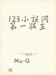 123小说网 第一版主封面