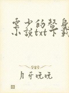 云少的替身娇妻小说txt下载