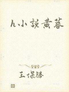 h小说黄蓉封面