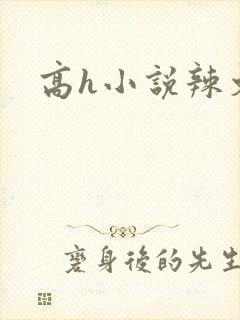 高h小说辣文肉封面