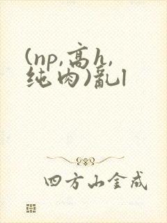 (np,高h,纯肉)乱l