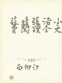 苏晴张浩小说免费阅读全文