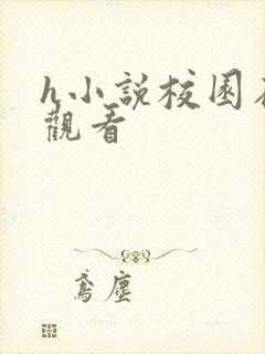 h小说校园在线观看封面