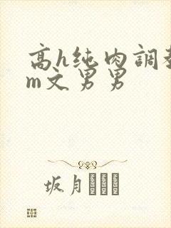 高h纯肉调教sm文男男