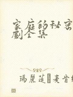 家庭的秘密电视剧全集