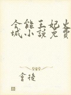 全能王妃火爆京城小说免费看