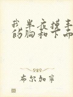 我半夜摸丰满亲的胸和下面小说