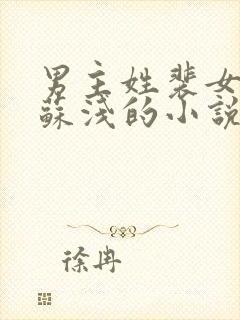 男主姓裴女主叫苏浅的小说封面