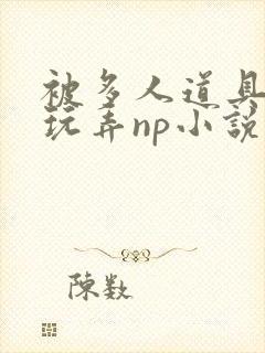 被多人道具调教玩弄np小说在线阅读