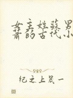 女主姓苏男主姓萧的古代小说